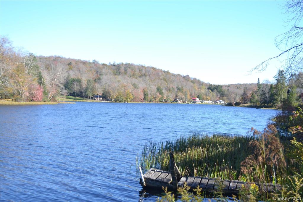 Photo of 238 Trout Brook Road, Roscoe, NY 12776 (MLS # 922937)