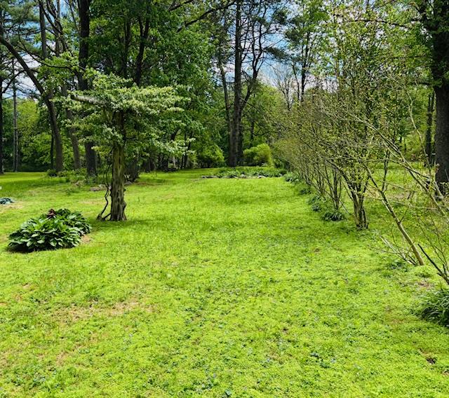 1358 Route 44, Pleasant Valley, New York image 9