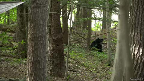Vacant Land For Sale - 19 Stoutenburgh Drive<br/> Hyde Park, NY 12538