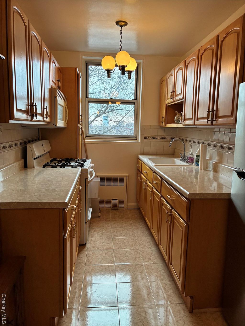 Photo of 1430 Thieriot Avenue #5L, Bronx, NY 10460 (MLS # 958640)