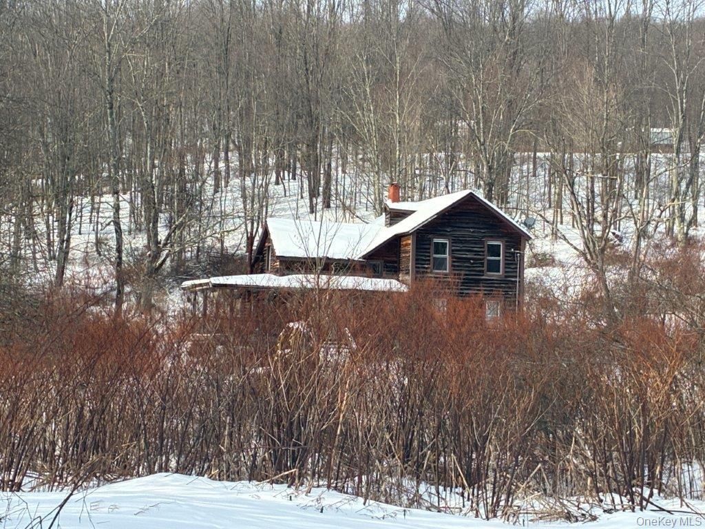 Photo of 921 Milton Smith Road, Long Eddy, NY 12760 (MLS # 961361)
