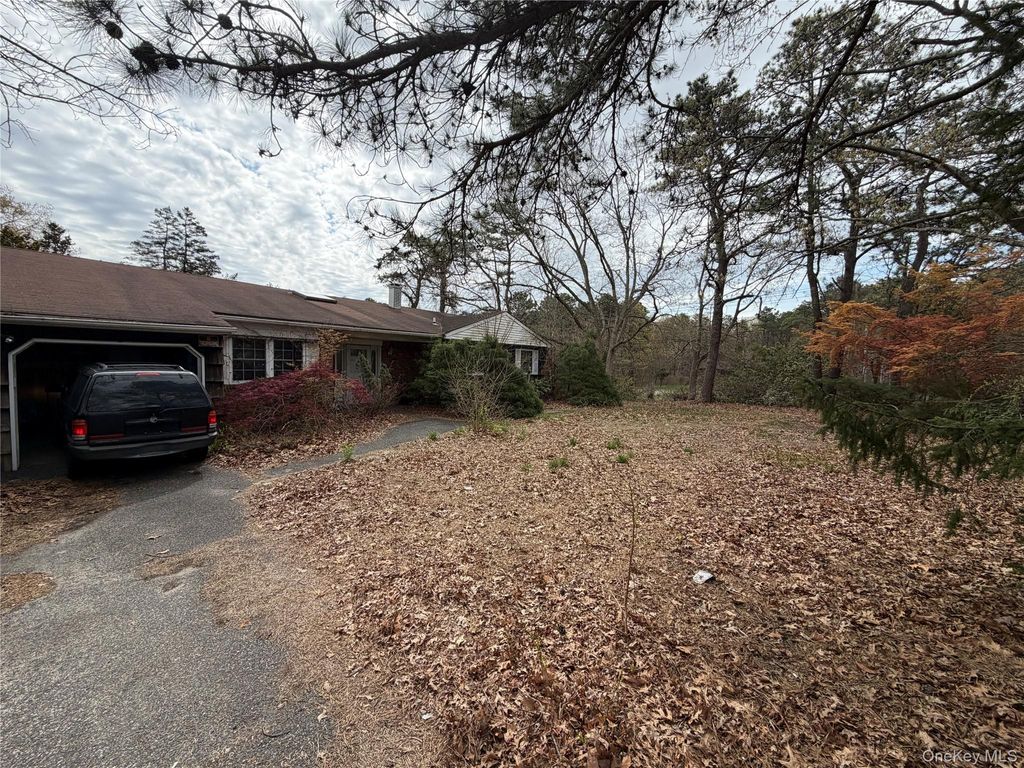 Photo of 67 Chestnut Street, Coram, NY 11727 (MLS # 989596)