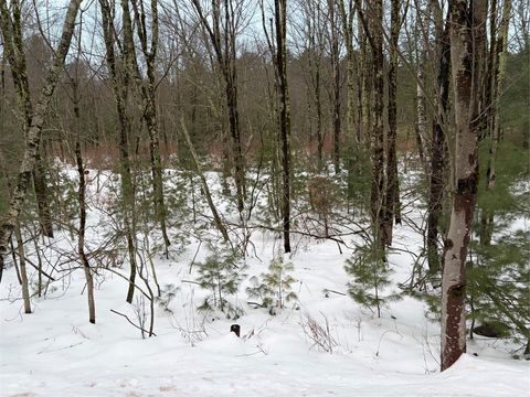 Vacant Land For Sale - 00 Moscoe Road<br/> Bethel, NY 12720