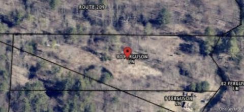Vacant Land For Sale - 358/80 Ferguson Lane<br/> Wurtsboro, NY 12790