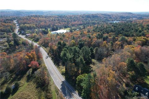 Vacant Land For Sale - 1195 Nys Route 17b<br/> Mongaup Valley, NY 12762