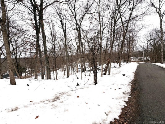 149 SUNSET DR, WAPPINGERS FALLS, NY 12590 - Image 2030ef22aa276bd73631cbfbf4ebb709/1736614853