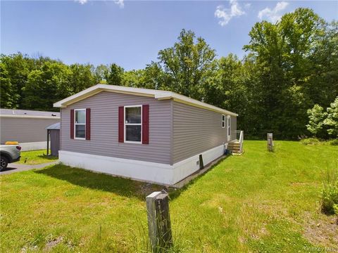 18 Shore Lane Burlingham NY 12722