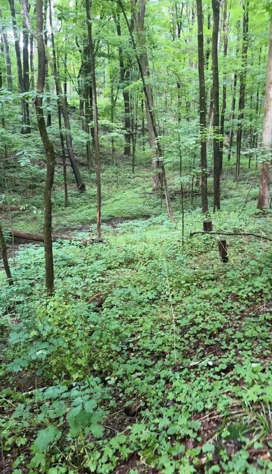 tbd Creek Road
