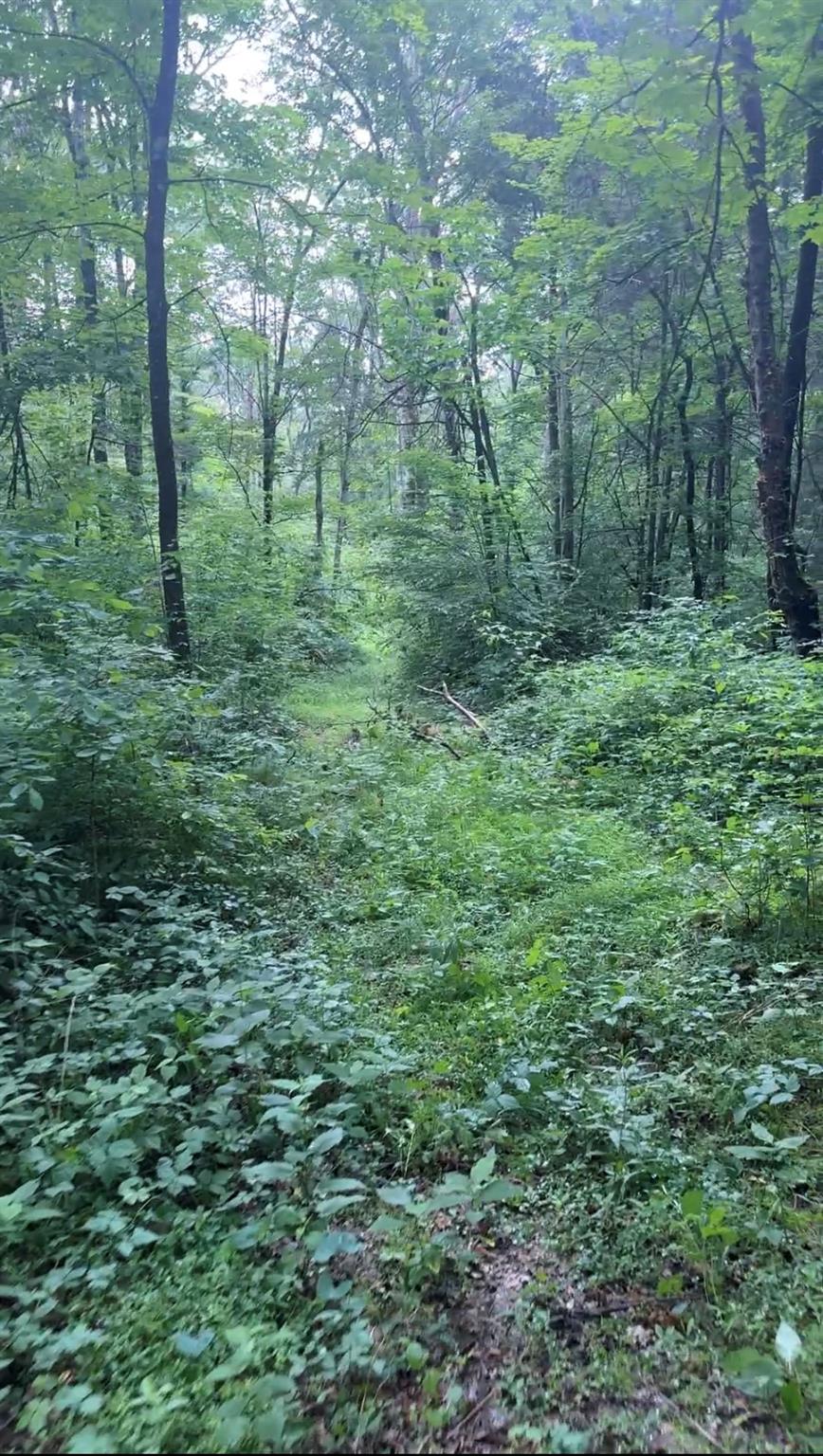 tbd Creek Road
