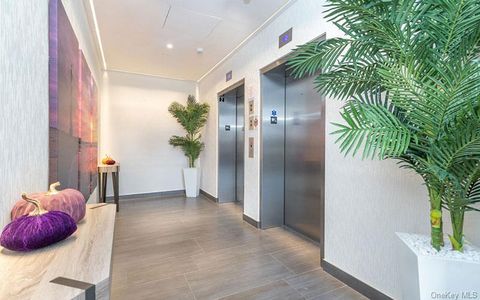 1 Dekalb Avenue 411 White Plains NY 10605