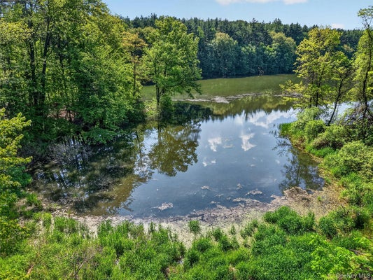MOORES HILL RD, NEW WINDSOR, NY 12553 - Image 20976fb7cd992e8bdb968e24460dcab8/3388079652