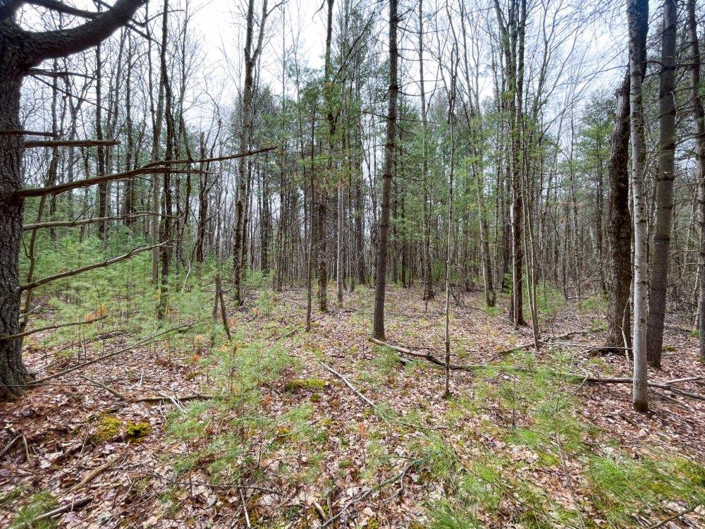00 Route 52, Greenfield Park, New York image 4