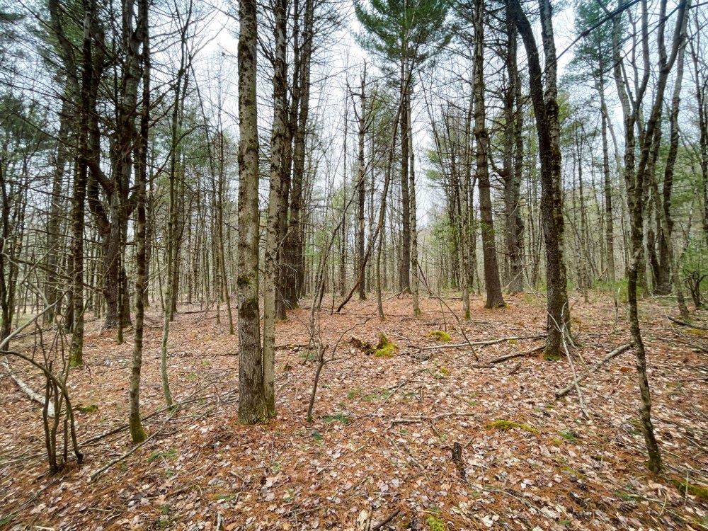 00 Route 52, Greenfield Park, New York image 17