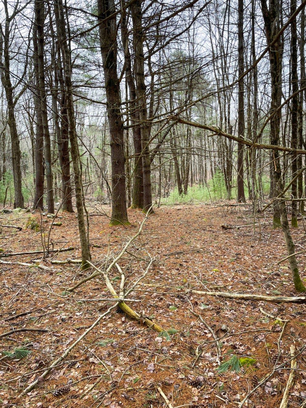 00 Route 52, Greenfield Park, New York image 13