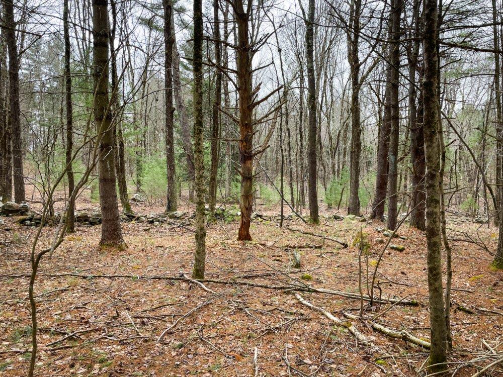 00 Route 52, Greenfield Park, New York image 14
