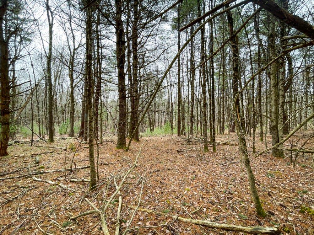 00 Route 52, Greenfield Park, New York image 15