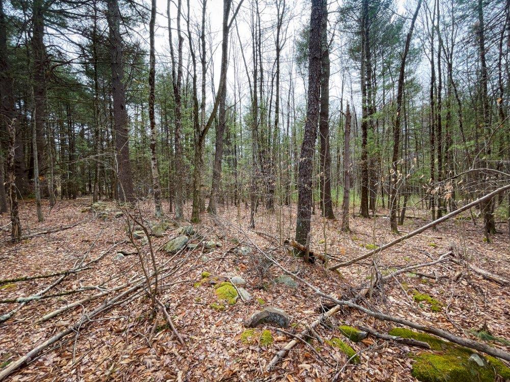 00 Route 52, Greenfield Park, New York image 9