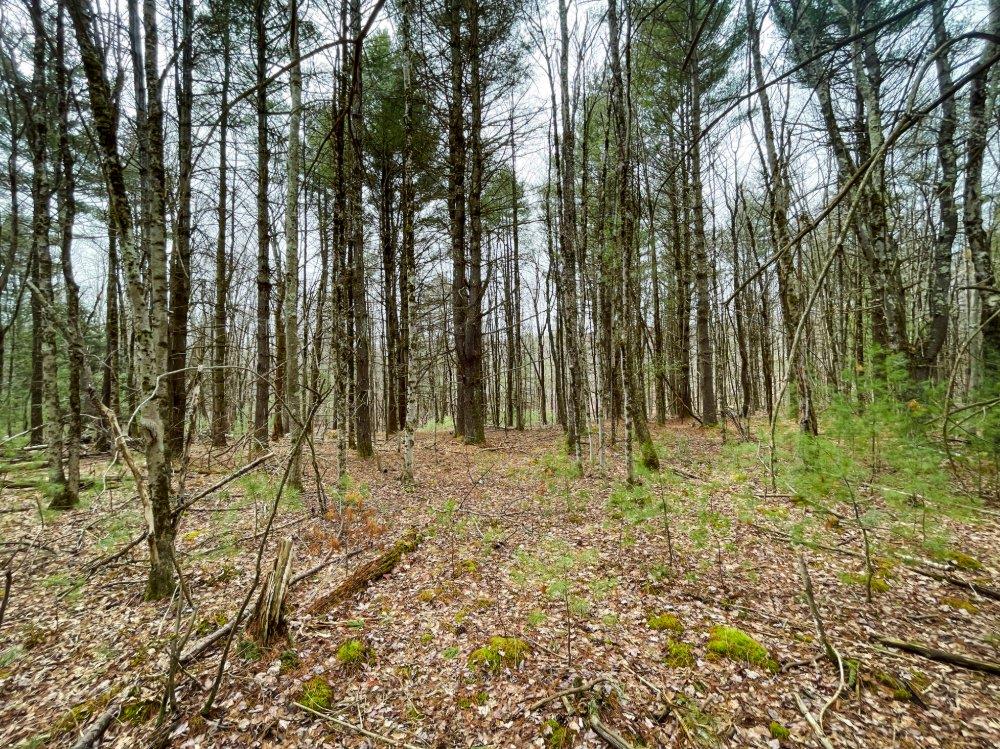 00 Route 52, Greenfield Park, New York image 12