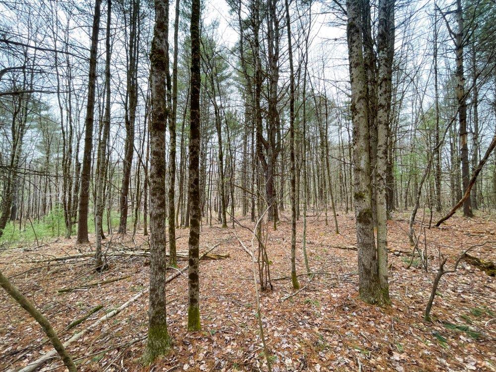 00 Route 52, Greenfield Park, New York image 16