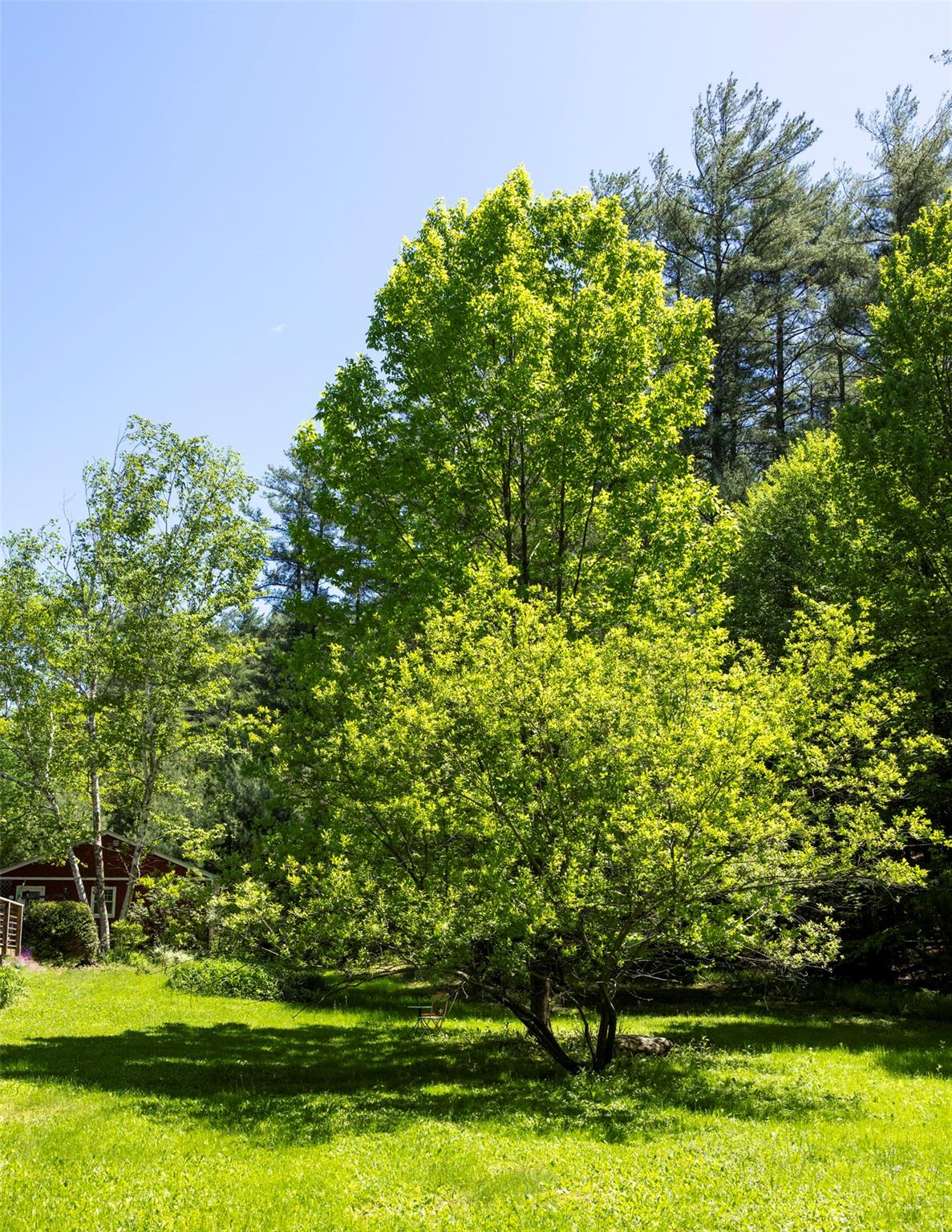 1521 Wittenberg Road, Shandaken, New York image 34