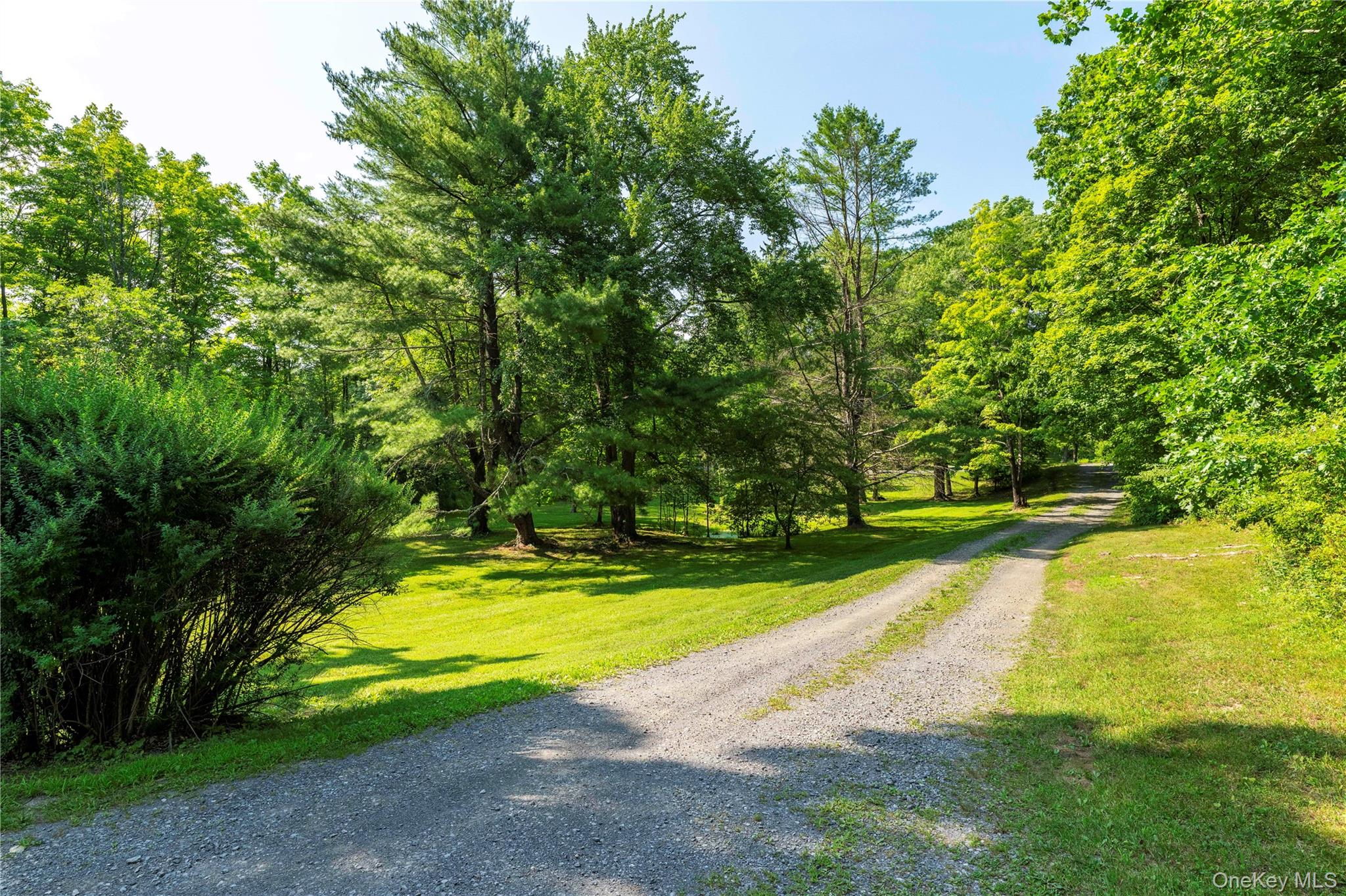 71 W Pine Road