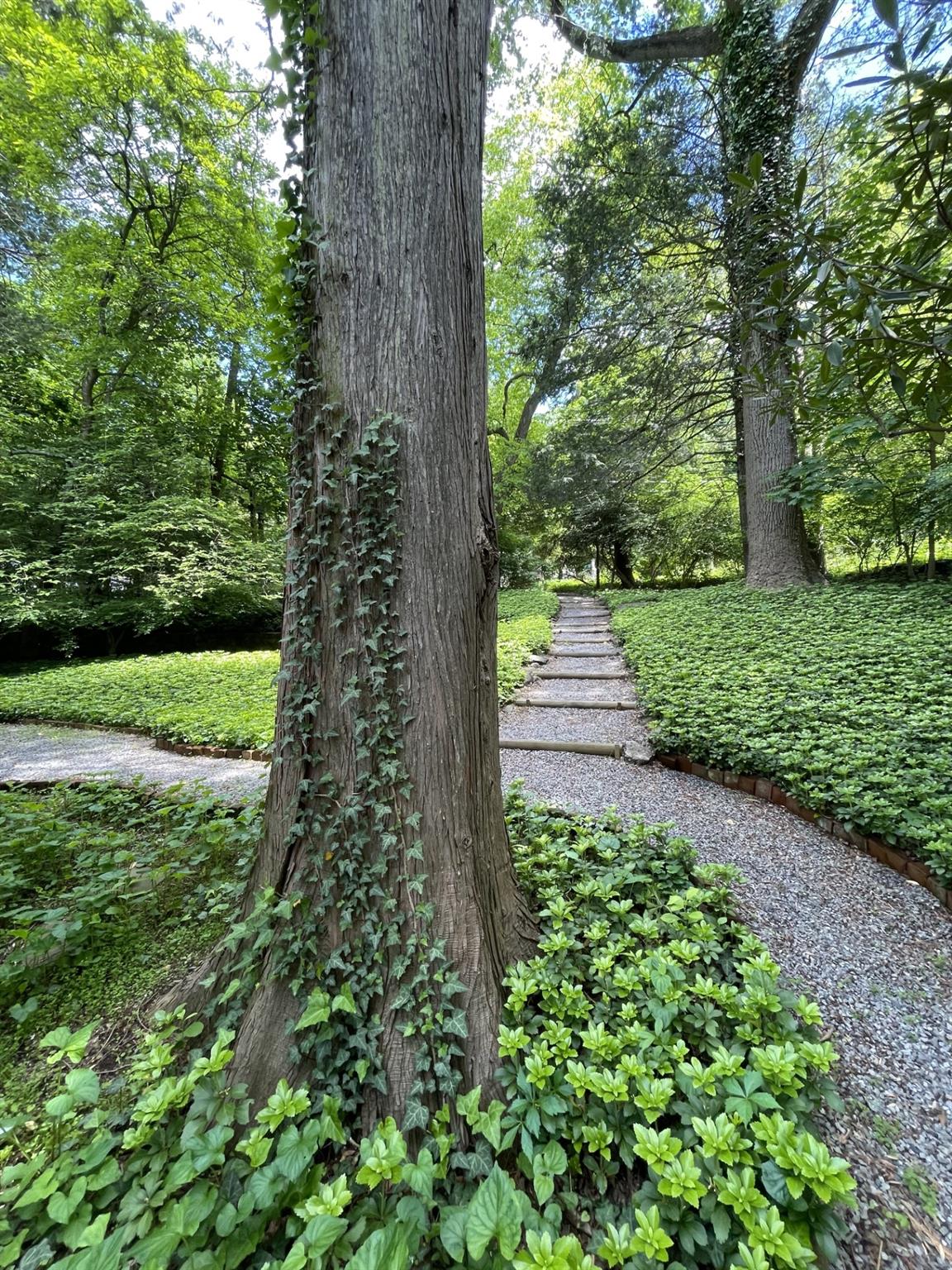 124 Seven Bridges Road, Chappaqua, New York image 33