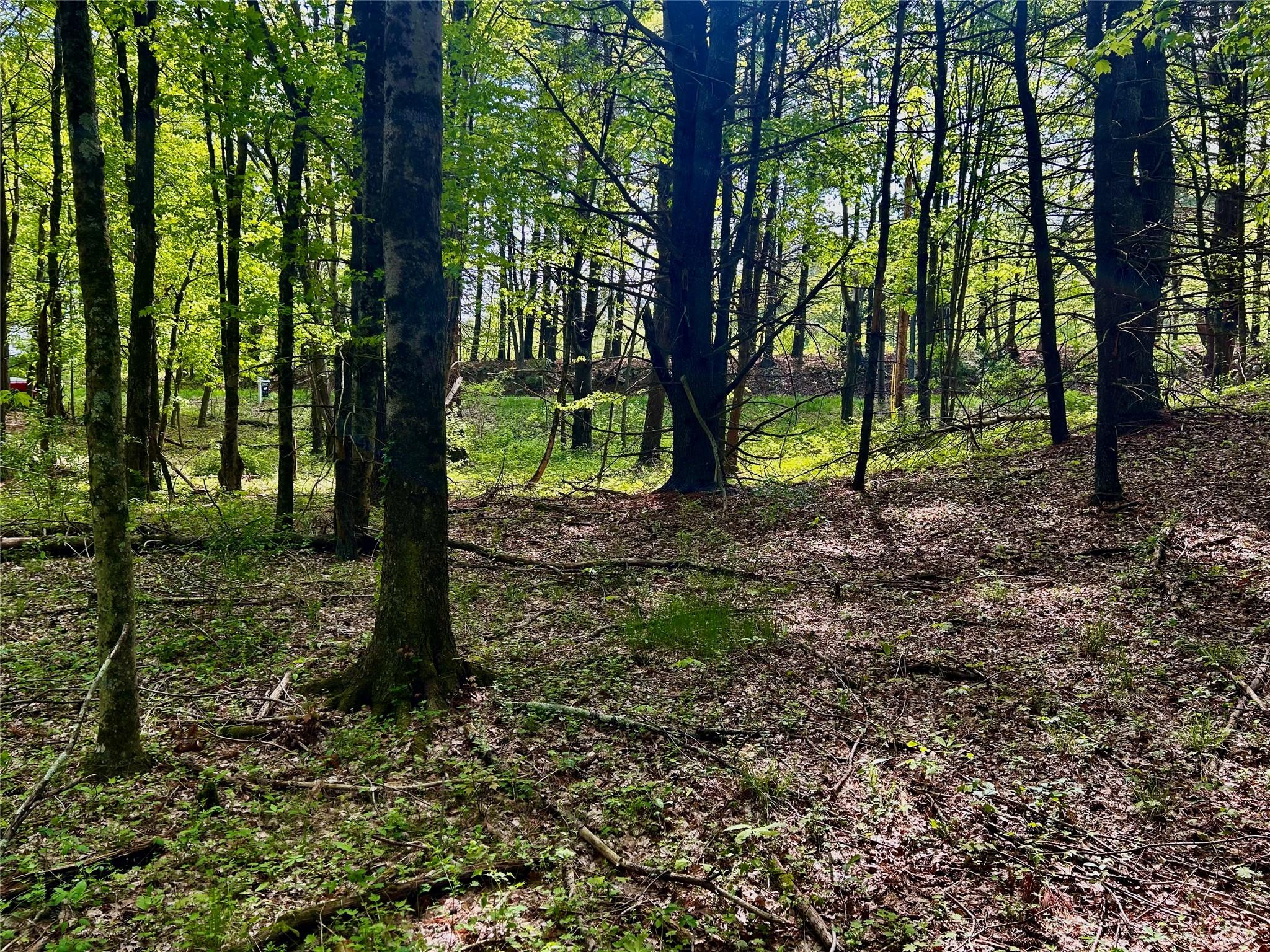 844 County Route 27 Street, Ancram, New York image 3