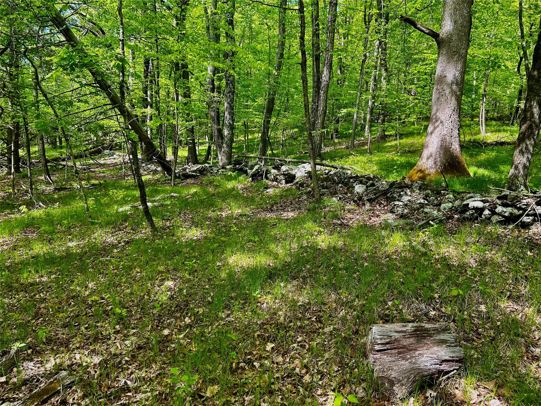 844 County Route 27 Street, Ancram, New York image 9