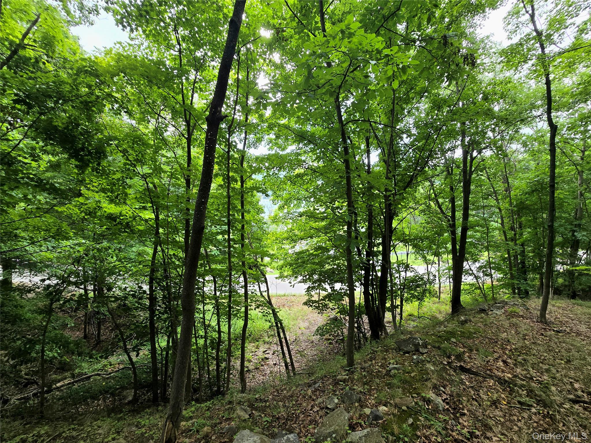 Edgemere Avenue