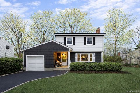 31 Munson Court Melville NY 11747