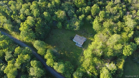 Mobile Home For Sale - 52 Log Road<br/> Parksville, NY 12768