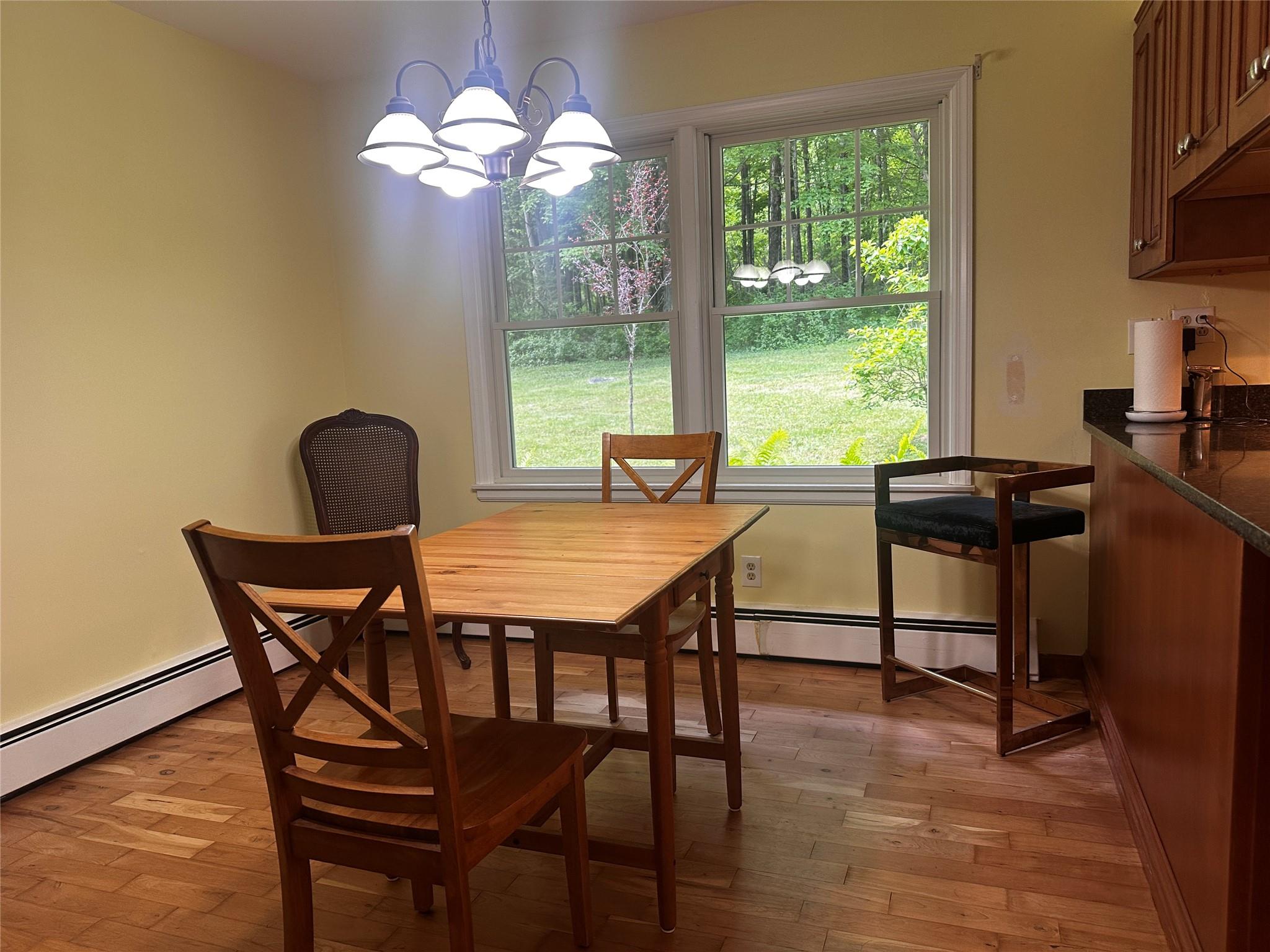 287 Hunns Lake Road, Stanfordville, New York image 13