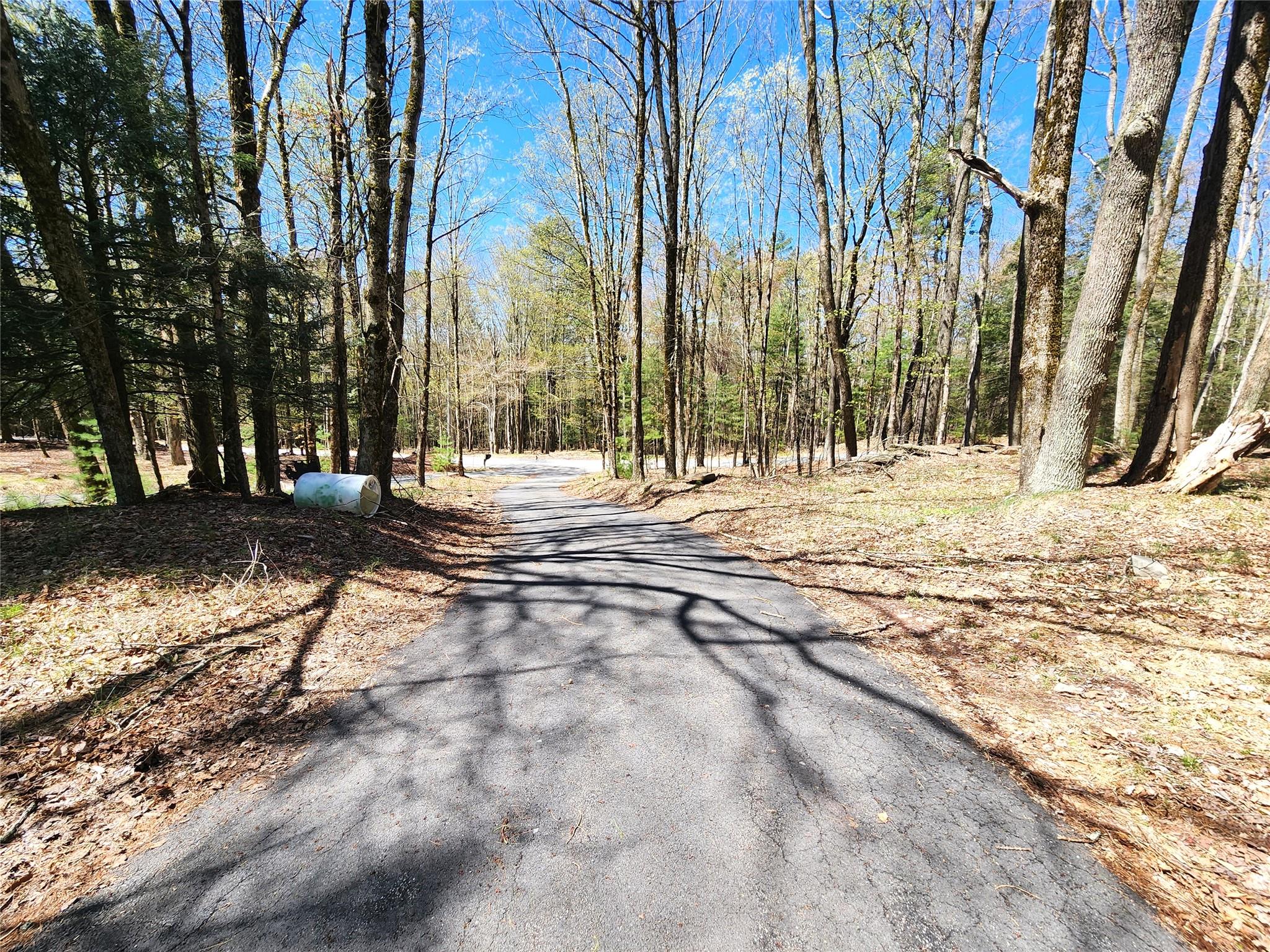 142 Old Tacy Road, Bethel, New York image 37