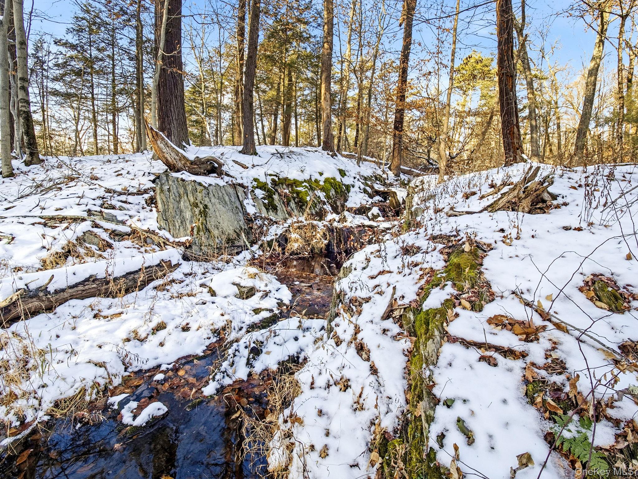 Rhinebeck, New York 12572, United States, 3 Bedrooms Bedrooms, ,3 BathroomsBathrooms,Residential,Active,251840