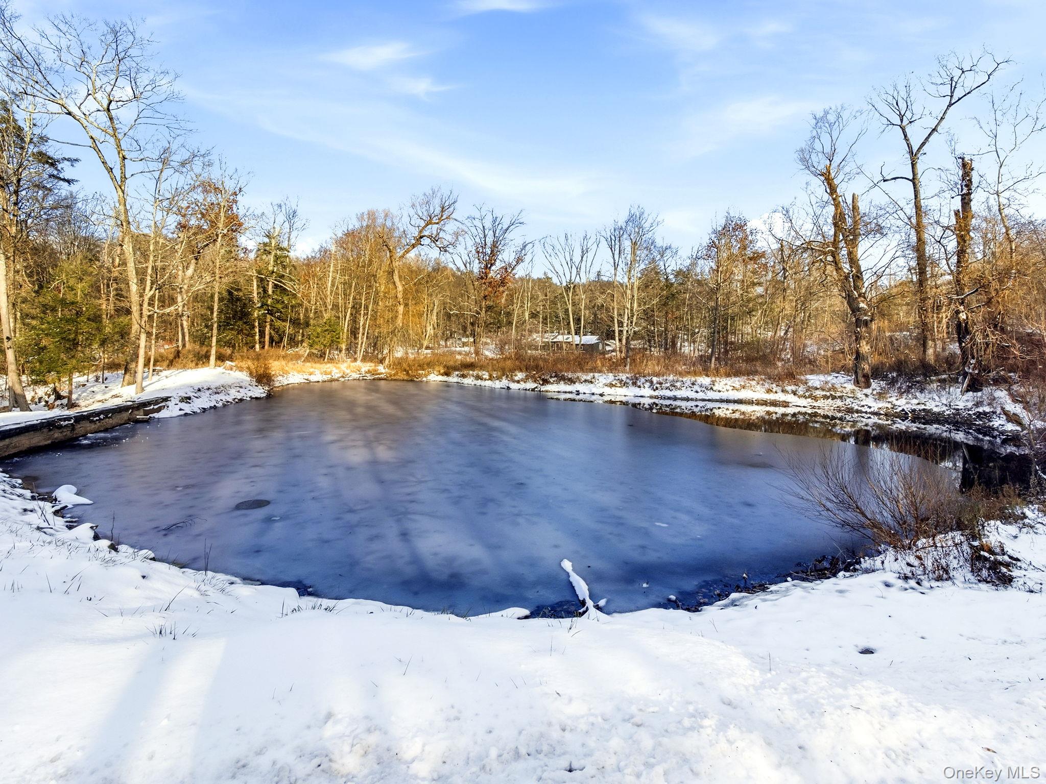 Rhinebeck, New York 12572, United States, 3 Bedrooms Bedrooms, ,3 BathroomsBathrooms,Residential,Active,251840