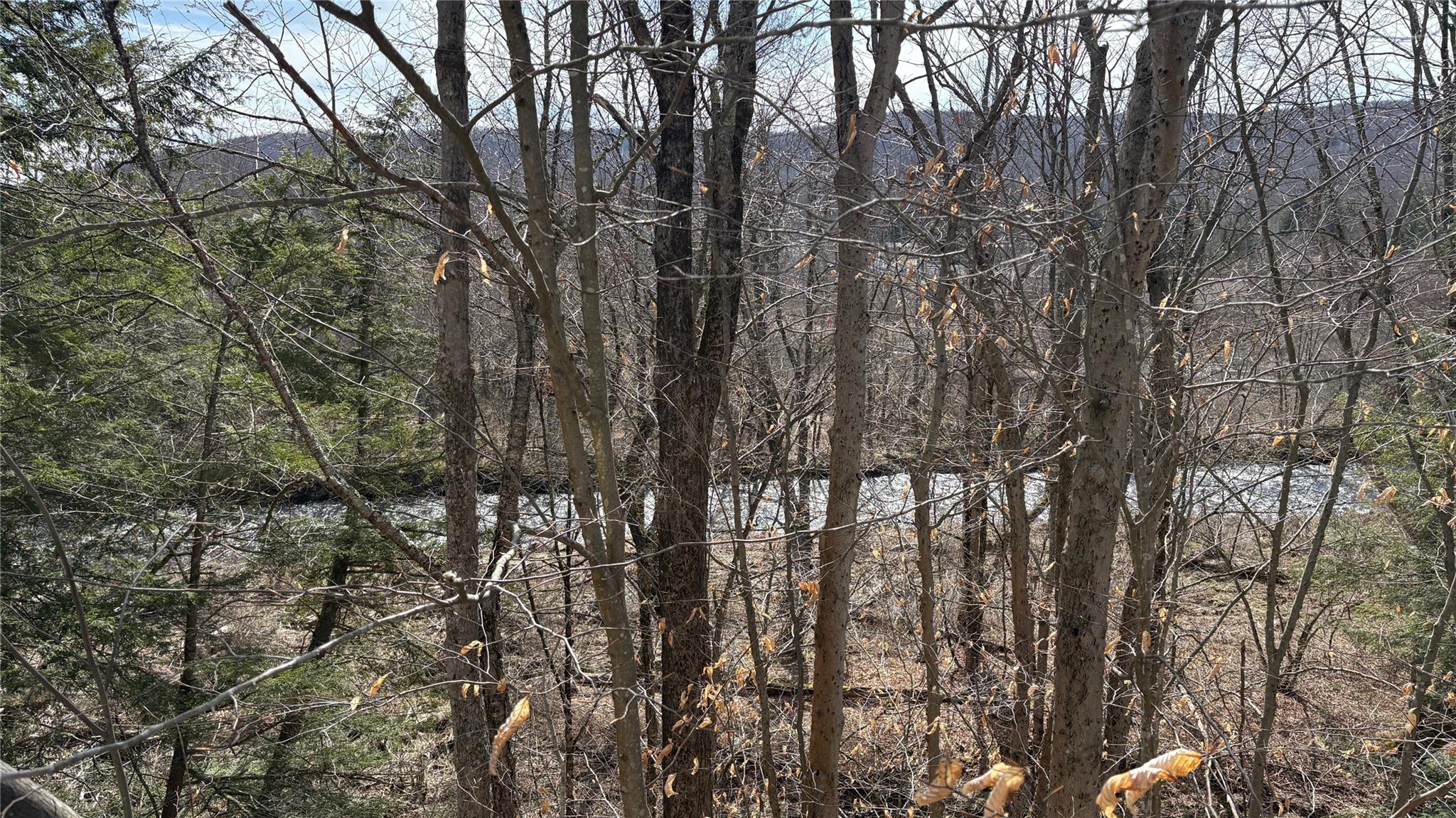 674 Debruce Road, Livingston Manor, New York image 33