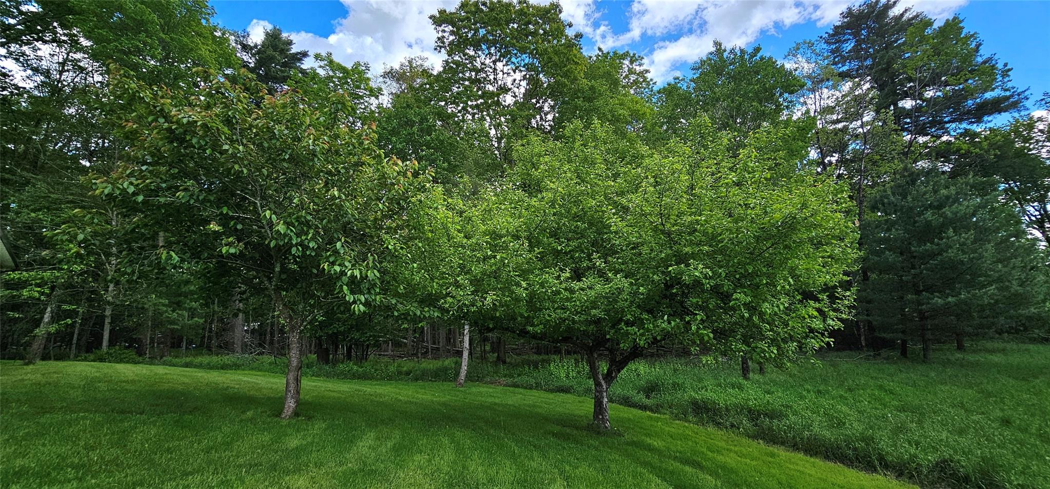 24 Buff Road, Lake Huntington, New York image 26