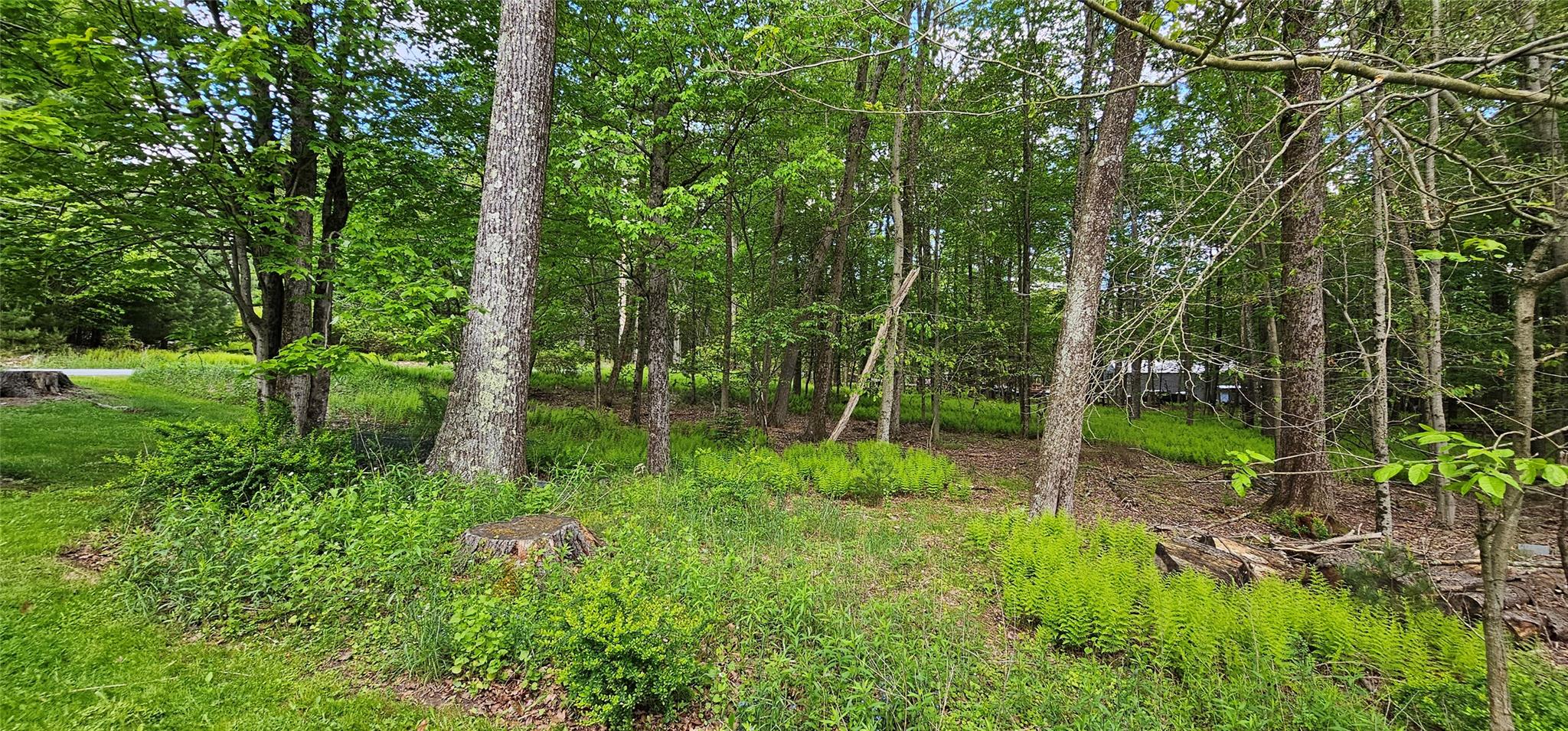 24 Buff Road, Lake Huntington, New York image 31