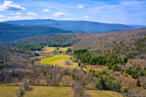 Vacant Land For Sale - Hog Mountain<br/> Fleischmanns, NY 12430