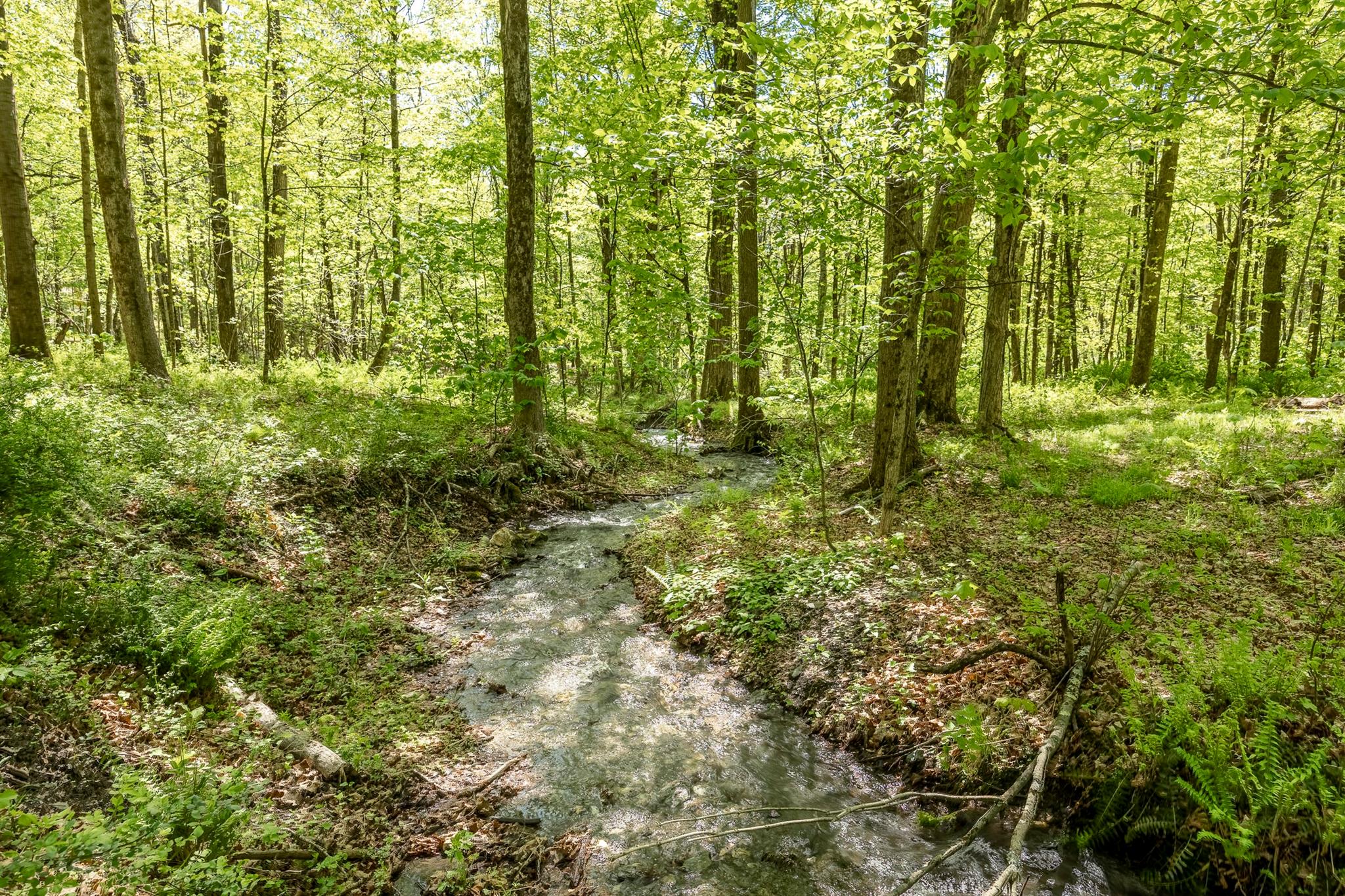 Overlook Drive, Hillsdale, New York image 7