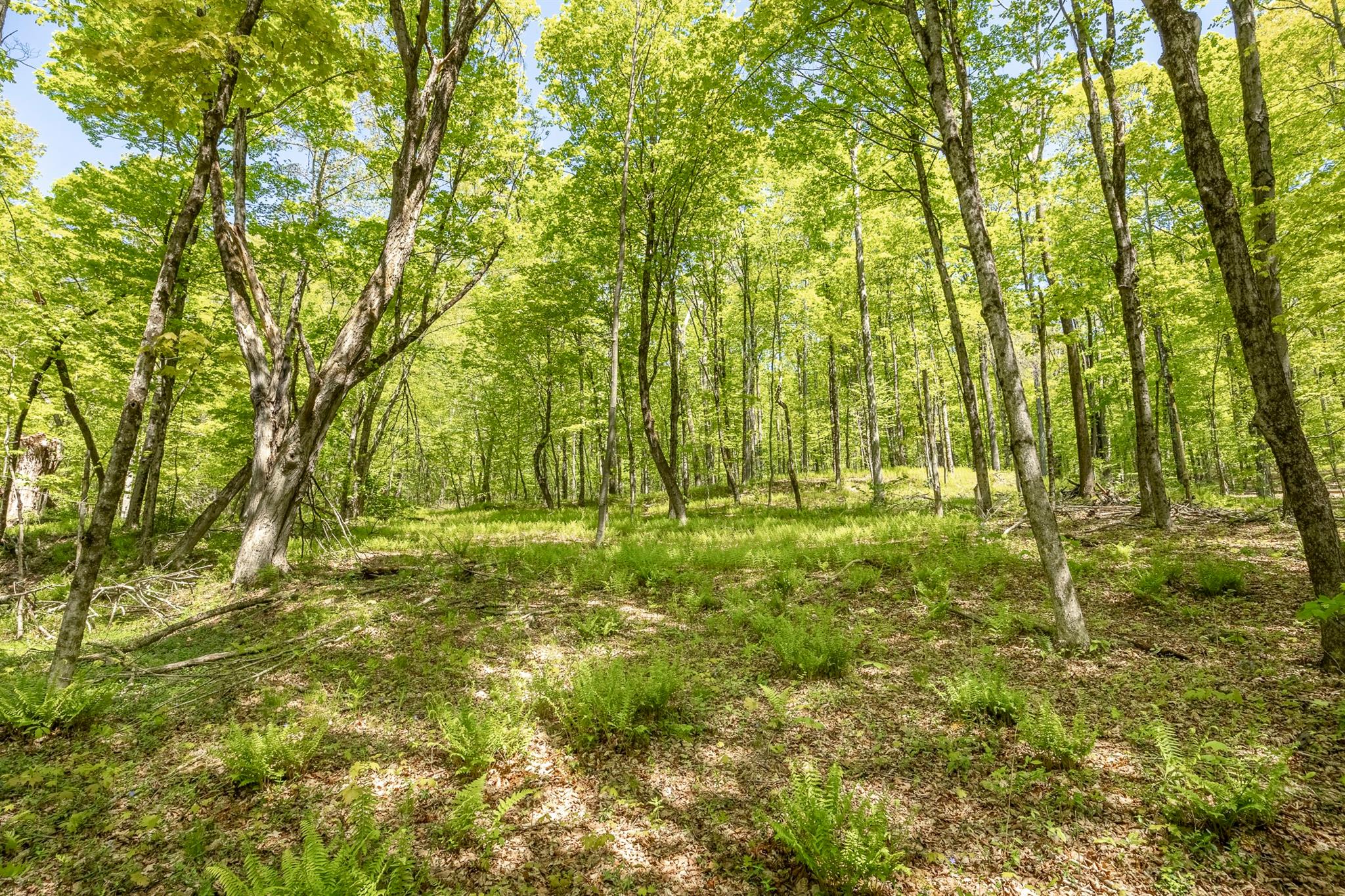 Overlook Drive, Hillsdale, New York image 8