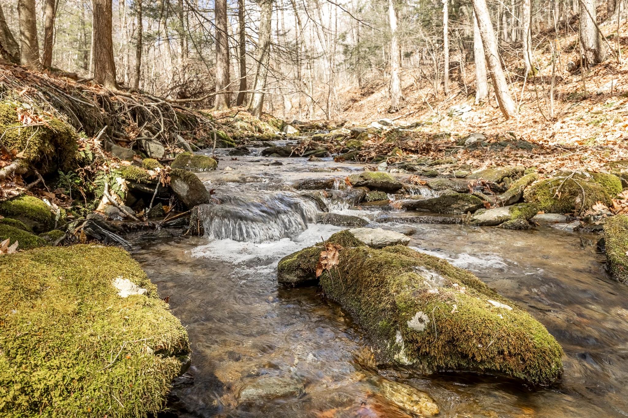 Overlook Drive, Hillsdale, New York image 14