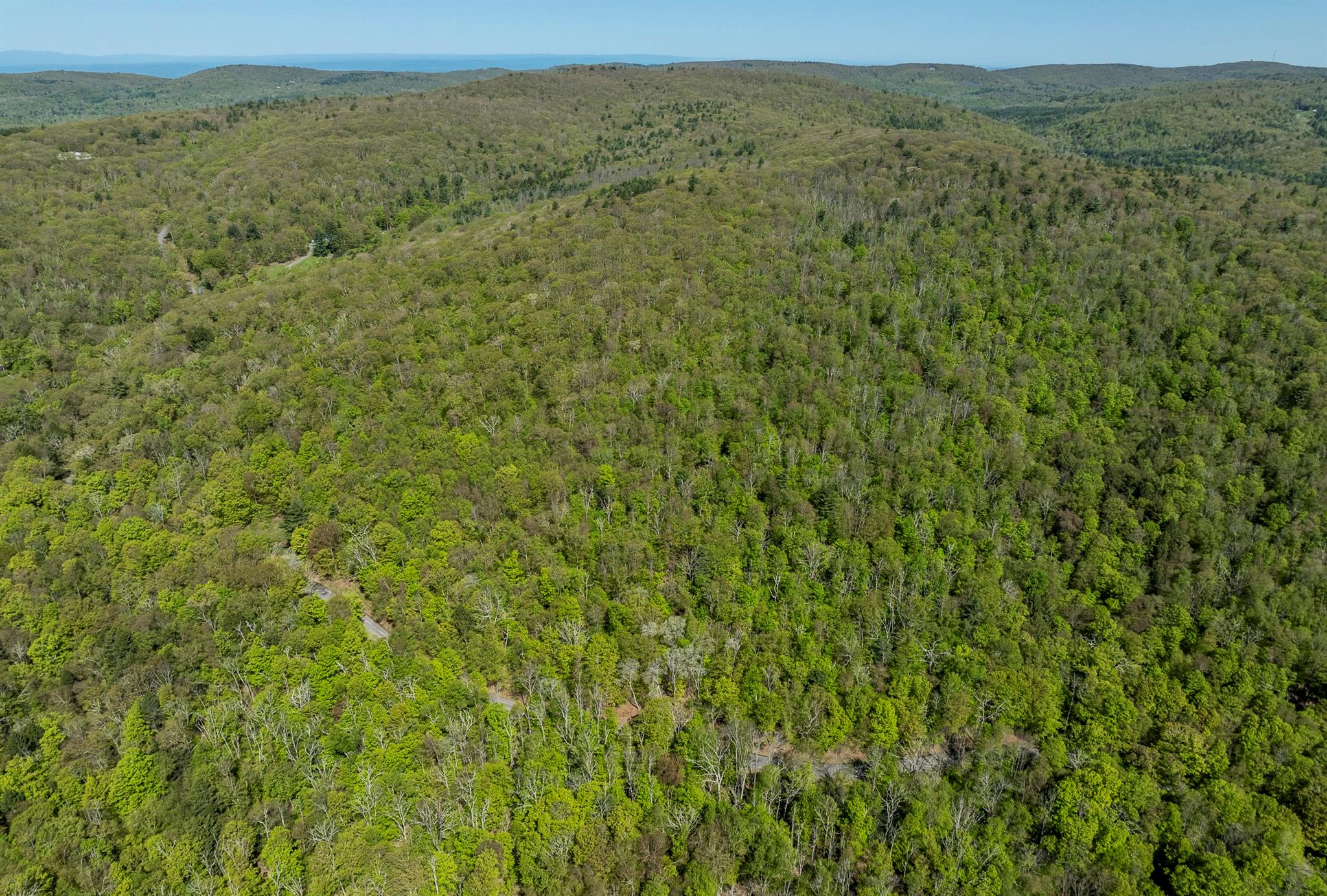 Overlook Drive, Hillsdale, New York image 15