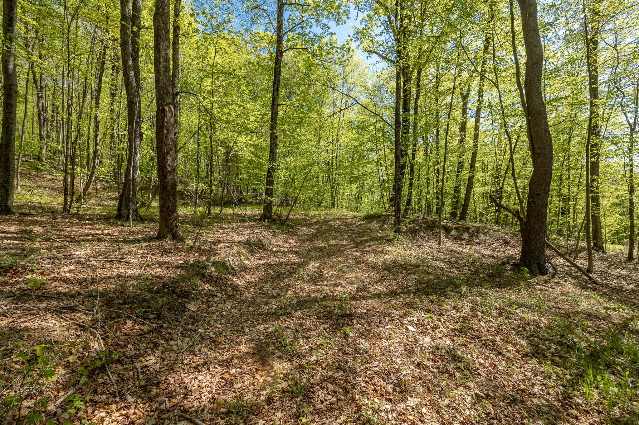 Overlook Drive, Hillsdale, New York image 10