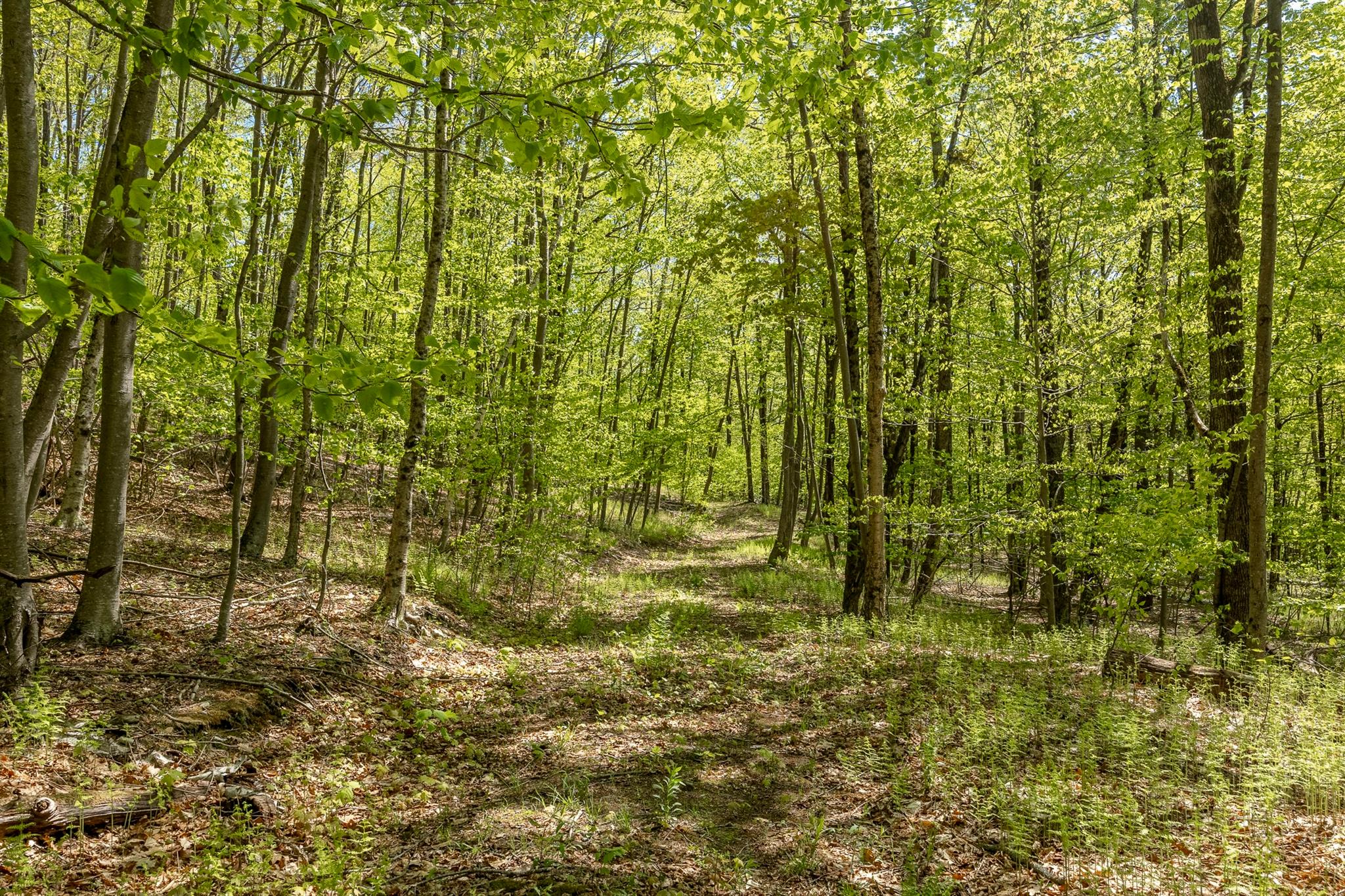 Overlook Drive, Hillsdale, New York image 11