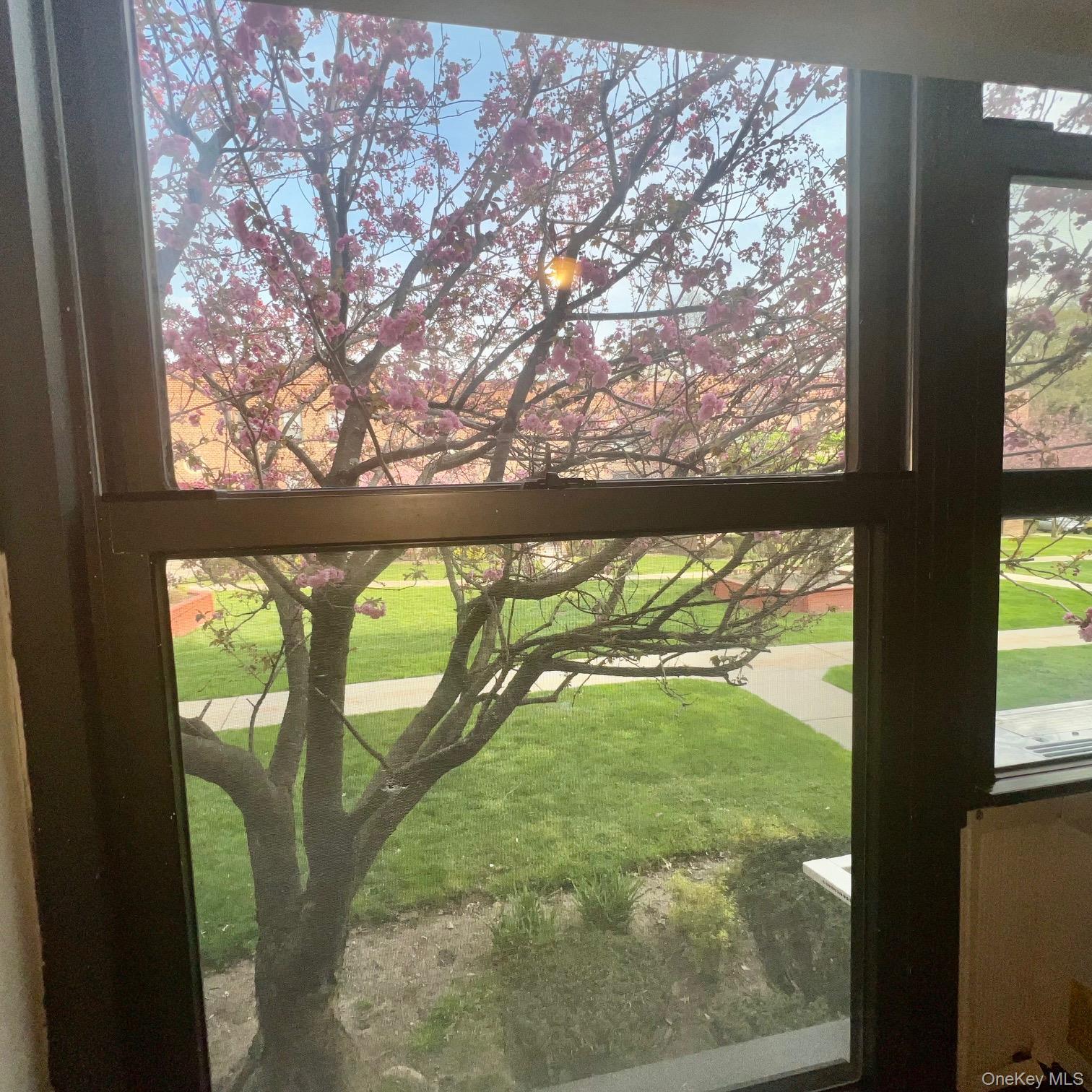 204 Richbell Road B4