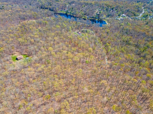 FOREST GLEN RD, PINE BUSH, NY 12566 - Image 246b04d5707ccf8aec4bbf8ba73e9daf/3697478140