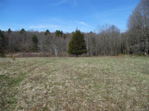 Vacant Land For Sale - Creamery Road<br/> Bethel, NY 12720