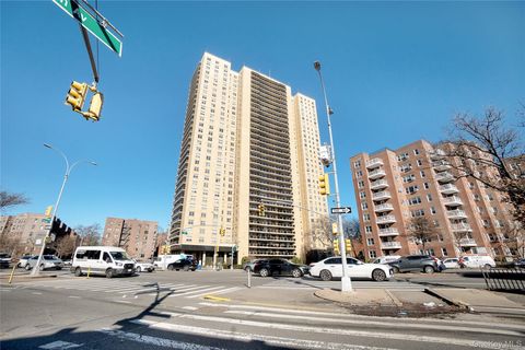 110-11 Queens Boulevard 32A Forest Hills NY 11375