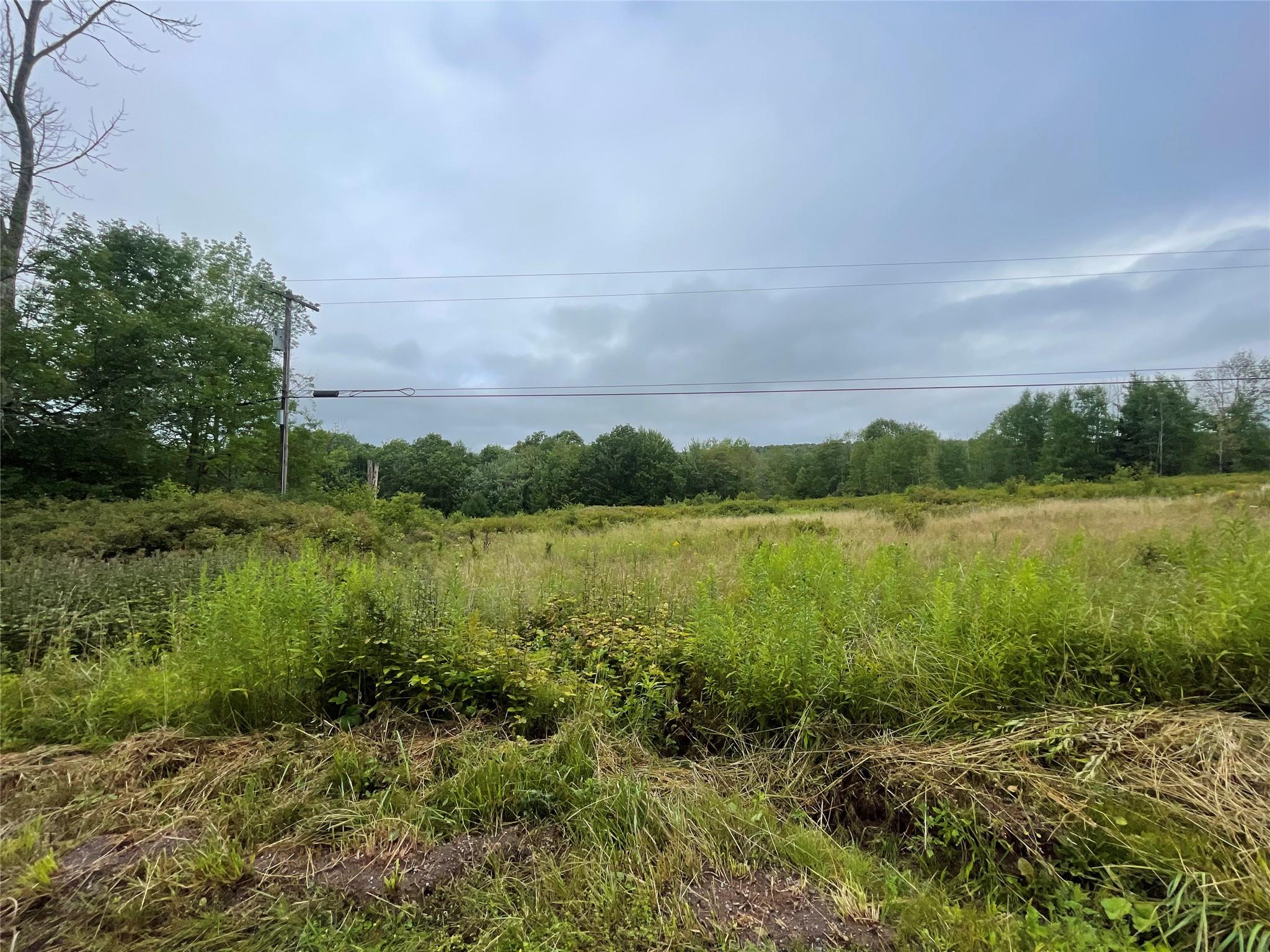 Basil Todd Road, Fleischmanns, New York image 6
